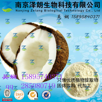 椰子浓缩粉 厂家直销（现货）