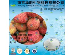 优质供应  荔枝浓缩粉  接受代加工   QS资质齐全