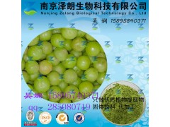 余甘子提取物  专业植物提取  代加工  QS资质齐全