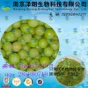 余甘子提取物  专业植物提取  代加工  QS资质齐全