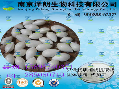 白果提取物  QS生产代加工 固体饮料  制粒包装