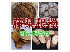 藤梨根提取物 西安千草生物出品 全水溶无沉淀