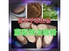 藤梨根提纯粉 西安千草生物出品 全水溶无沉淀
