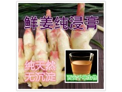 鲜生姜纯浸膏 药食同源 现货供应