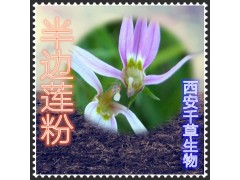 半边莲提取物 半边莲粉 半边莲浓缩粉 半边莲浸膏粉