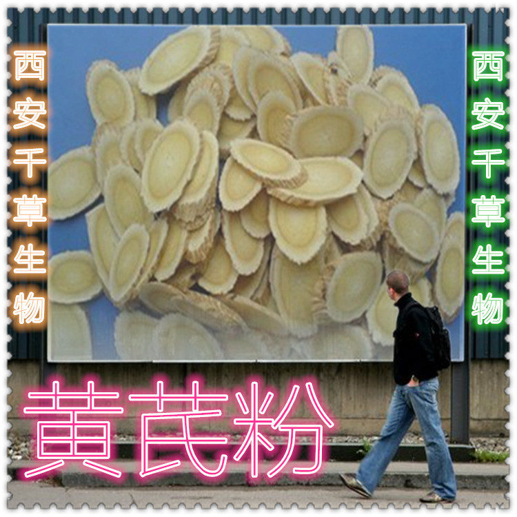 黄芪粉0