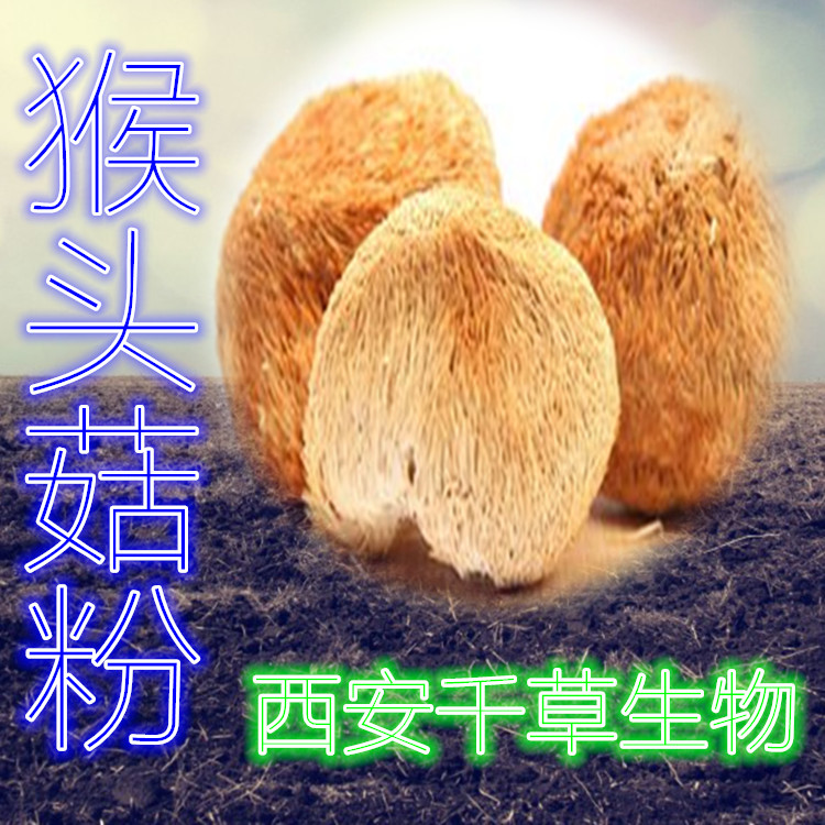 猴头菇粉0