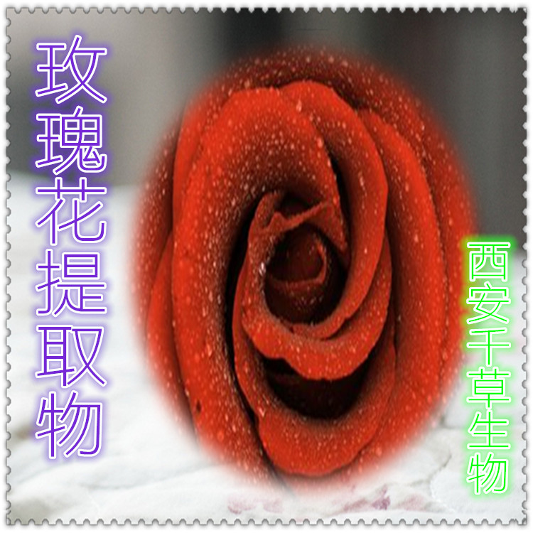 玫瑰花提取物