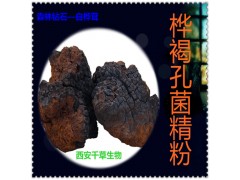 桦褐孔菌浓缩粉 纯天然浓缩粉 现货热销 包邮 西安千草生物
