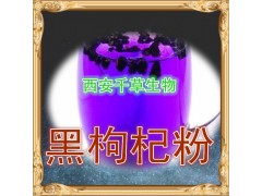 黑枸杞粉
