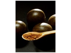 东莞罗汉果提取物 抗衰老改善肥胖者形象及益肤美容--巴科医药