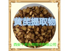 水溶性黄芪浓缩粉