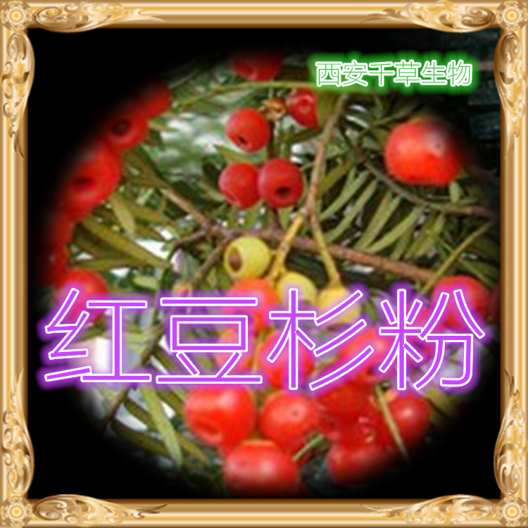 红豆杉粉