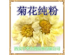 菊花提取物菊花粉 菊花浓缩粉 菊花浸膏粉 菊花速溶粉药食同源