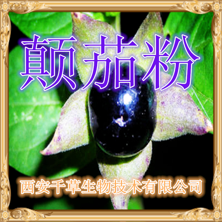颠茄粉