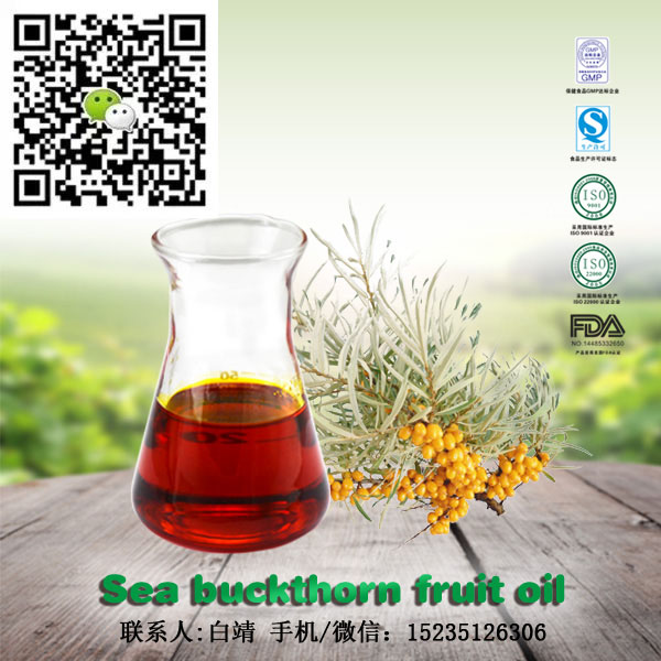 厂价销售 食品级沙棘果油 沙棘果提取物