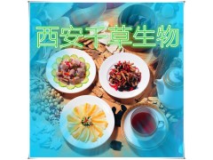 淡竹叶提取物的功效作用 西安千草生物生产