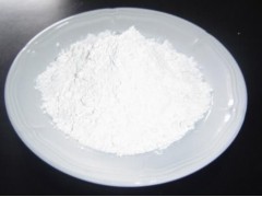 专业生产厂家 根皮素 CAS号 :60-82-2