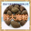 胖大海提取物 纯天然全水溶 药食同源 西安千草现货专供