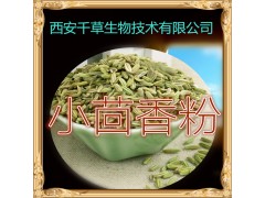 小茴香提取物 纯天然全水溶 药食同源 西安千草现货专供