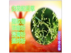 生地黄提取物水溶粉