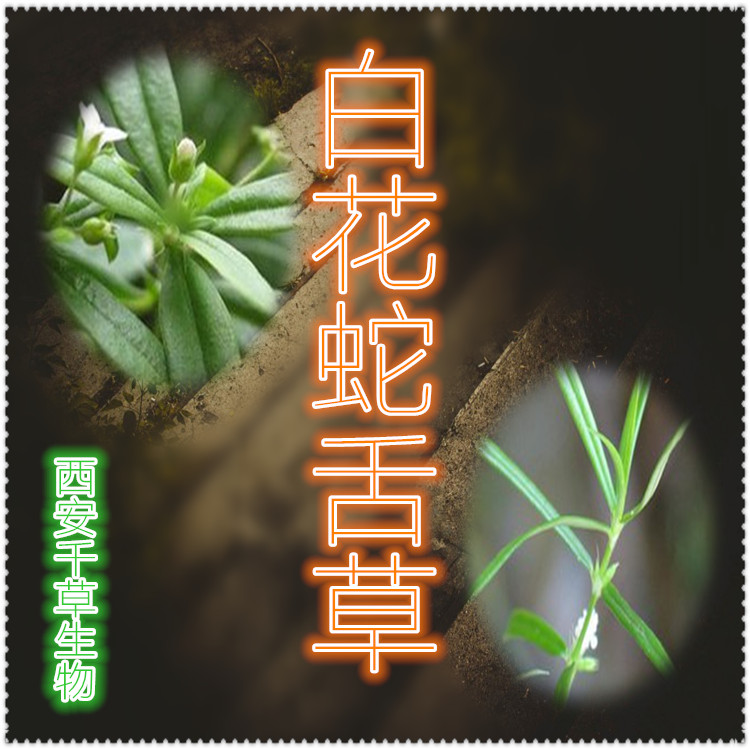 红螺提取物水溶粉