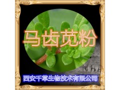 马齿苋提取物 纯天然全水溶 药食同源 西安千草现货专供