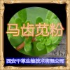 马齿苋提取物 纯天然全水溶 药食同源 西安千草现货专供