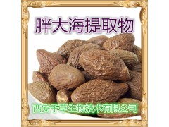 鲜地黄提取物 国家规定保健品添加 纯植物提取 厂家专供