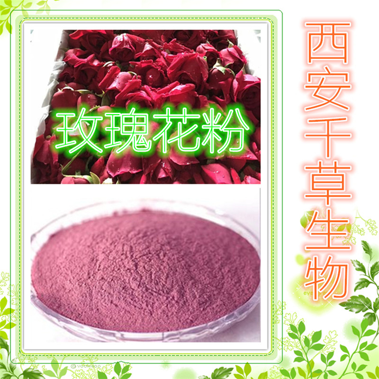 鱿鱼提取物水溶粉
