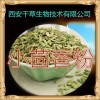 小茴香粉 纯天然全水溶 药食同源 实力厂家生产 现货直销