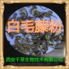 白毛藤提取物 纯天然全水溶  西安千草现货专供