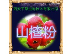 山楂粉 纯天然全水溶 药食同源 实力厂家生产 现货直销