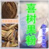 喜树果提取物 纯天然全水溶 西安千草现货专供