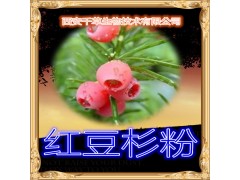 红豆杉提取物 纯天然全水溶  西安千草现货专供