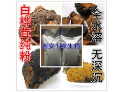 白桦茸提取物 纯天然全水溶  西安千草现货专供