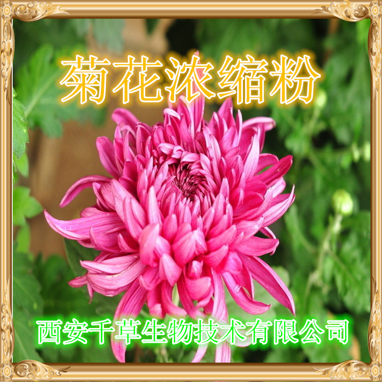 三文鱼提取物水溶粉