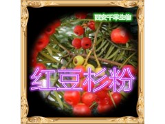 红豆杉粉 纯天然全水溶  实力厂家生产 现货直销