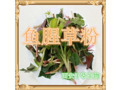 鱼腥草提取物 纯天然全水溶 药食同源 西安千草现货专供