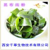 昆布粉 纯天然全水溶 药食同源 实力厂家生产 现货直销