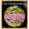 大麦芽提取物水溶粉