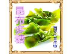 昆布提取物 纯天然全水溶 药食同源 西安千草现货专供