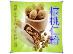 核桃仁粉 纯天然全水溶 药食同源 实力厂家生产 现货直销