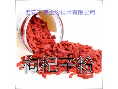枸杞子提取物 纯天然全水溶 药食同源 西安千草现货专供