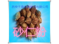 砂仁提取物 纯天然全水溶 药食同源 西安千草现货专供
