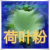 荷叶粉 纯天然全水溶 药食同源 实力厂家生产 现货直销