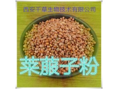 莱菔子粉 纯天然全水溶 药食同源 实力厂家生产 现货直销