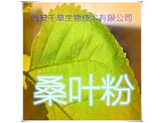 桑叶提取物 纯天然全水溶 药食同源 西安千草现货专供