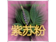 紫苏粉 纯天然全水溶 药食同源 实力厂家生产 现货直销