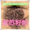 紫苏籽粉 纯天然全水溶 药食同源 实力厂家生产 现货直销